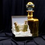 Nathalie VINCENT APONTE - NAVA 3.0