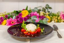 JOSÉ MANUEL PACHECO - JOSE MANUEL PACHECO