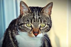 STEPHANIE JAMONT - LEMI PHOTO