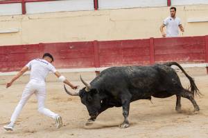 Mathis JOUSSET - MJ Community